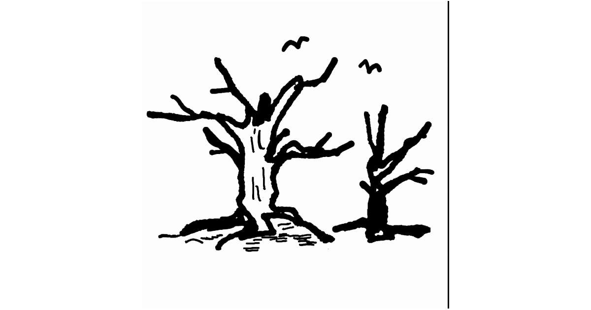 交換無料！ 10257_2021-01-11_ogp.jpg 少年漫画
