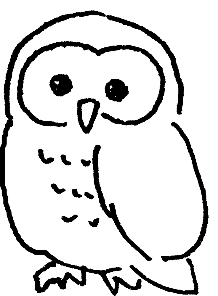 ふくろうowlのイラスト